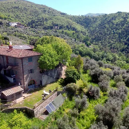 La Pietra Piana Panoramica Con E Piscina Naturale Vicino Firenze * Reggello