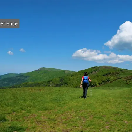 La Pietra Piana Panoramica Con E Piscina Naturale Vicino Firenze