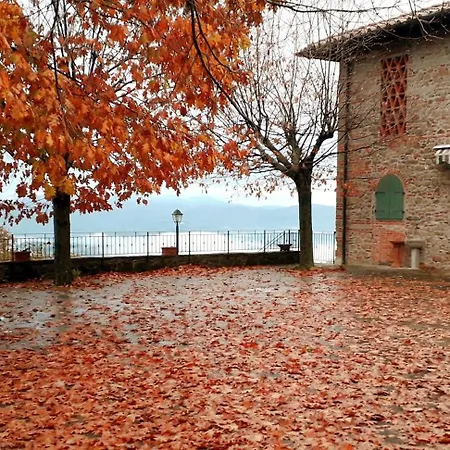 La Pietra Piana Panoramica Con E Piscina Naturale Vicino Firenze * 레겔로