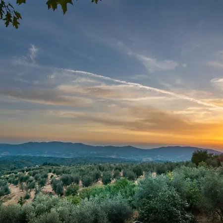 La Pietra Piana Panoramica Con E Piscina Naturale Vicino Firenze 레겔로