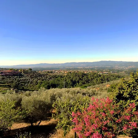La Pietra Piana Panoramica Con E Piscina Naturale Vicino Firenze * 레겔로