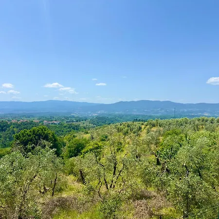 La Pietra Piana Panoramica Con E Piscina Naturale Vicino Firenze