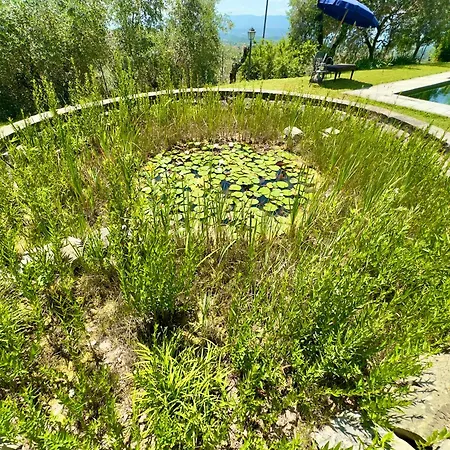 빌라 La Pietra Piana Panoramica Con E Piscina Naturale Vicino Firenze 레겔로